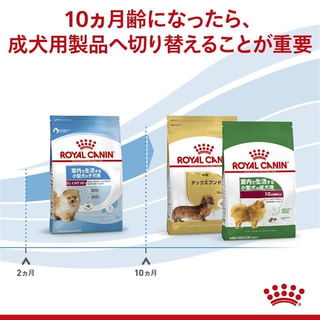 Amazon.co.jp: ロイヤルカナン ミニ インドア パピー 犬用 2kg 1個