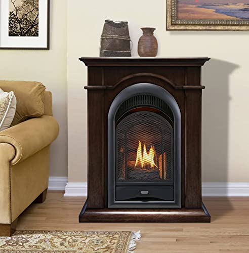 Procom Dual Fuel Ventless Gas Fireplace System - 10,000 Btu, T-Stat Control, Chocolate Finish - Model# Fs100T-Ch (Fs100T-Ch-Az-1) #TOP1