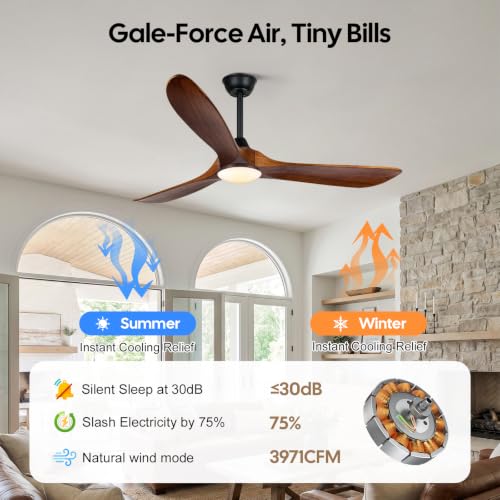 Image of 36 inch Small Ceiling Fan with Light and Remote, Modern Farmhouse style