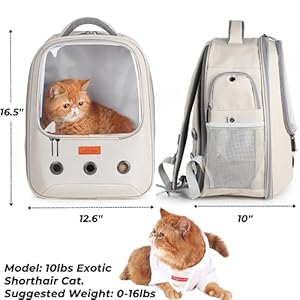   Lollimeow-Pet-Carrier-Backpack-Bubble-Backpack-Carrier-Cats-and-PuppiesAirline-Approved-Designed-for-Travel-Hiking-Walking-Outdoor-Use-Beige