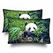 Set di 2 Federa Cuscino, Orso Panda Gigante Affamato Che Mangia bambù Fodere per Cuscino Bellissimo Federe Cuscini per Divano Letto Campeggio 40X60Cm