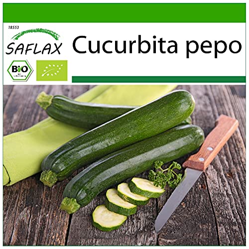 SAFLAX - Ecológico - Calabacín - Milán Negro - 6 semillas - Con sustrato estéril para cultivo - Cucurbita pepo