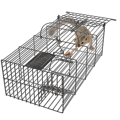 Black+Decker Rat Trap- Rat Traps Indoor & Outdoor- Humane Mouse Trap Cage- Live Animal Trap For Squirrels Chipmunks And Other Small Rodents- Catch And Release No Kill Mouse Traps #TOP1