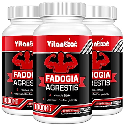 Fadogia Agrestis 1000mg Hochdosiert mit Zink & Ashwagandha für Männer ohne Zusätze (60 stück (3er Pack))