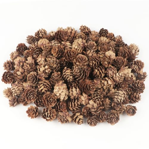 TaoQ C 120 PCS Pine Cones Decorations Natural Pine Cones Bulk - Mini Pine Cones Christmas Pine Cones for Table Christmas Tree Crafts Gifts Thanksgiving Fall and Xmas Home Decor