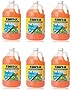 Rain-X 5061320 Windshield Washer Fluid 1 Gallon - 6 PACK
