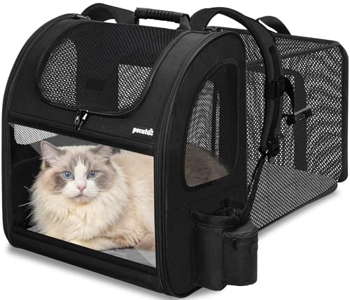Katzenrucksack
