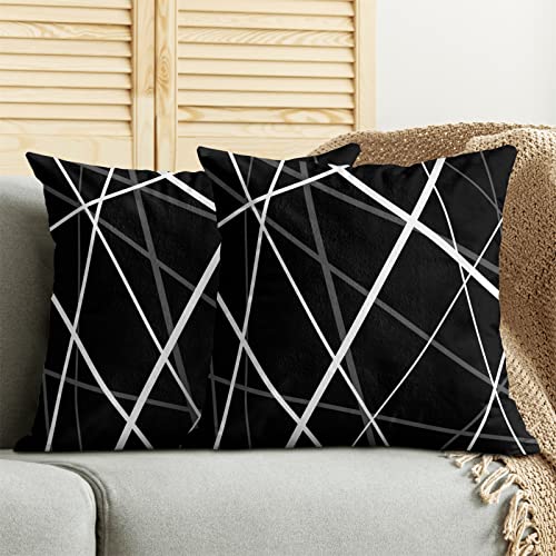 Betginy Black And White Decorative Pillow Covers, Grey Modern Abstract Throw Pillows For Couch, Boho Pillow Covers 18X18 Inch 2 Pcs Geometric Square Cushion Cover Gift For Couch Sofa Bed #TOP2