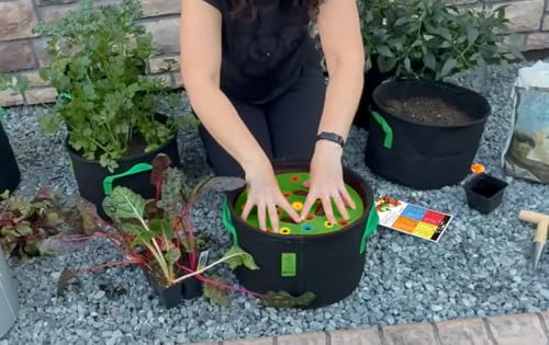Hand Pollinator + Seeding Circle Conjunto para Jardín miniatura 6