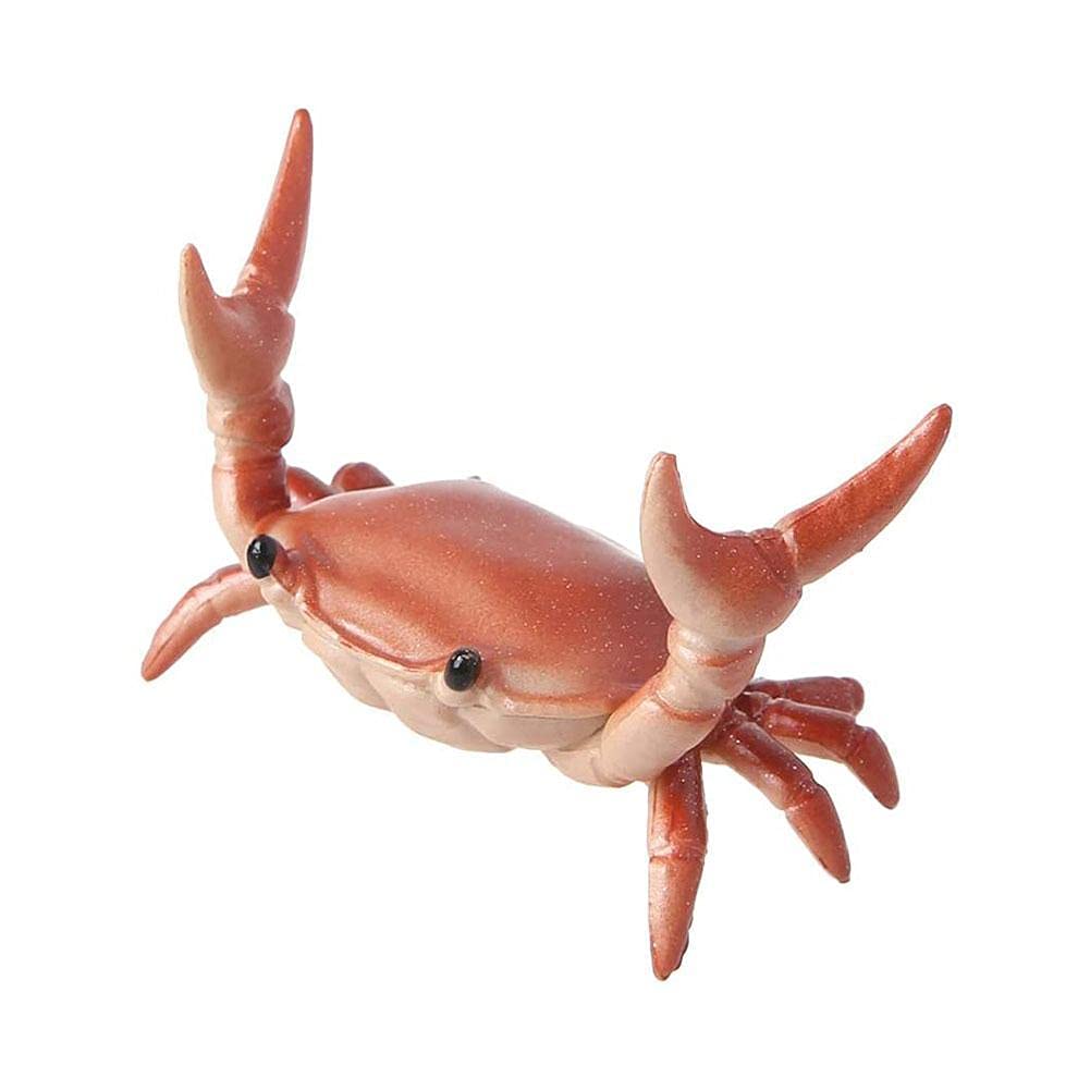 Pen Holder for Desk Creative Cute Crab Pen Holder Weightlifting Crabs Penholder Bracket Storage Rack Gift Stationery (Red)