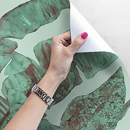 Papier peint tropical feuilles vintage pour masquer un mur nu avec élégance - 4