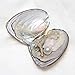 XUDREZ Natural Oyster Pearl 50PCs/Lot Monster Oysters with Pearls Inside Bulk Real in Oyster, Freshwater Oval Pearls Cultured Oysters Clam Shells, Anniversary Decoration for Jewelry Making Gifts 7-8mm
