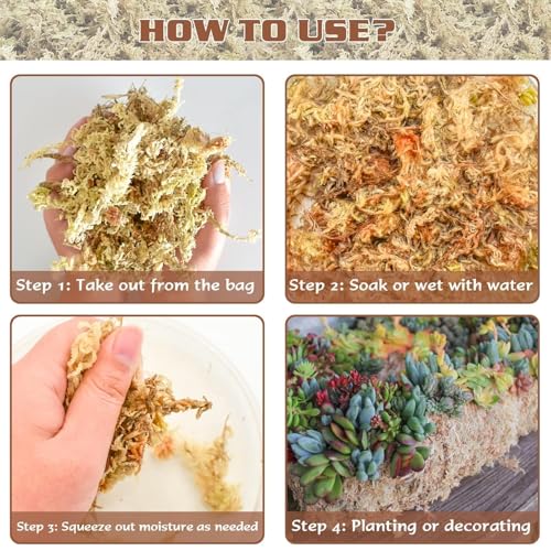 ZeeDix 4 qt Sphagnum Moss for Indoor Plants, Natural Dried Long Fiber Moss for Orchid Repotting, Carnivorous Plants, Succulents, Monstera, Flower & Reptile Terrariums Habitats (3 oz)