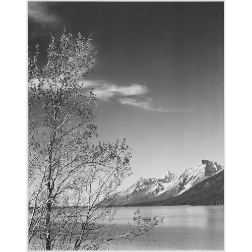 Poster Adams Grand Teton Wyoming grande affiche murale pour habiller un grand mur