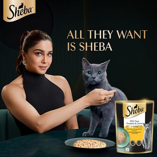 Sheba Fine Premium Adult (1+ Years) Wet Cat Food, Tuna Pumpkin & Carrot in Gravy, 70 g Pouch (Pack of 28), High-moisture gravy cat food for healthy hydration