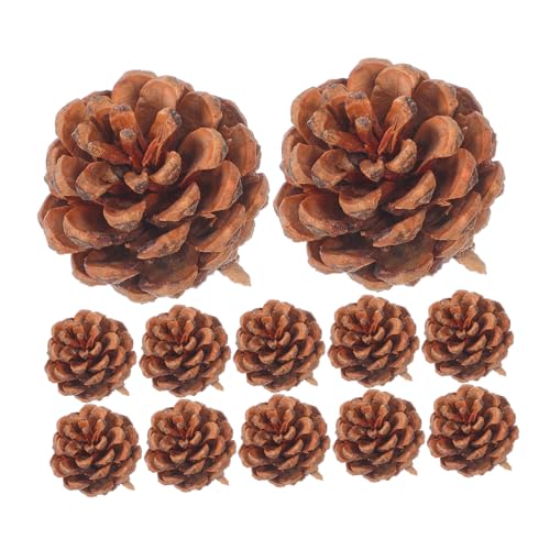 Natural rustic pinecones pour loisirs créatifs et décoration de table