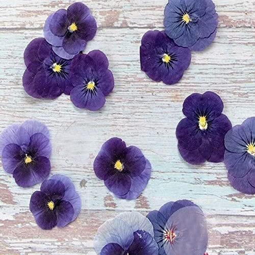 Flores secas reales para manualidades DIY 120 piezas miniatura 1