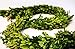 Tradingsmith Preserved Boxwood Garland 6 ft. Long
