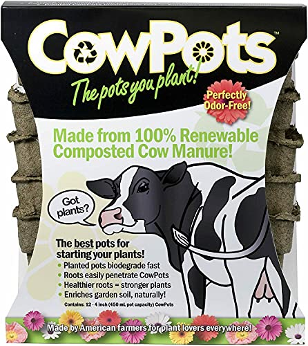 Plantable Pots Square 4-in. 12-Pk.
