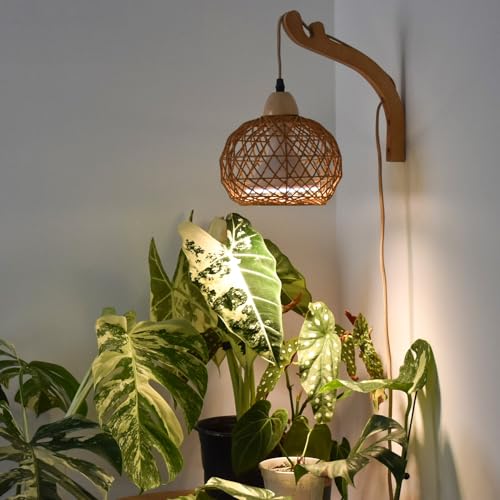 Bstrip Hanging Grow Lights for Indoor Plants, 18W Full Spectrum Plant Light, Boho Rattan Lantern...