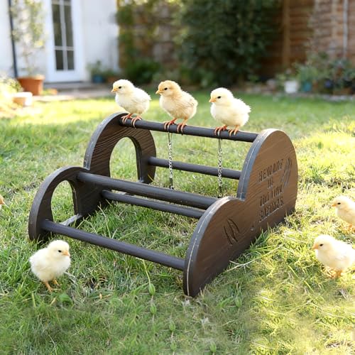 Image of Chicken Perch with Swing & Mirror, Waterproof PVC Roosting Stand for Hens Activity Gym for Chick Toys & Bantams, Durable Easy-Clean Brooder Coop