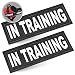 IN TRAINING Patch with Velcro Back and Reflective Lettering for Dog in Training Vests (In Training, Large - 2" x 6")