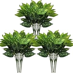 12 Bundles Chinese Evergreen