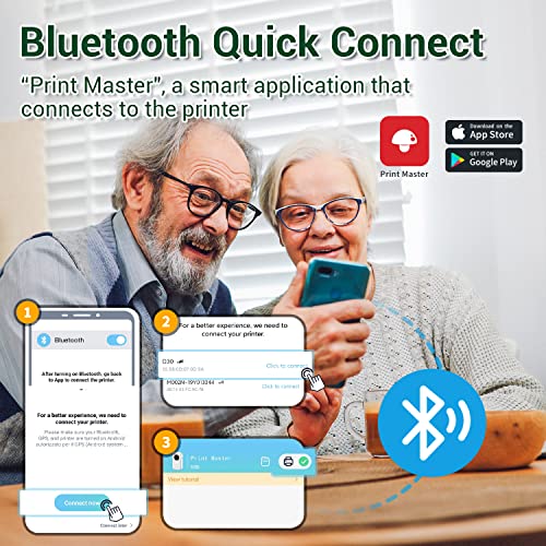 Phomemo D30 Mini Etichettatrice Bluetooth