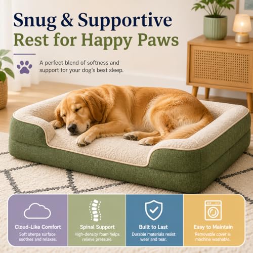Image of Cutepups Orthopedic Dog Bed Medium Size (M) - Soft Plush Washable Bed for Medium Dogs