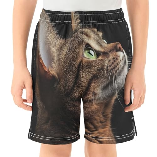 Cat Kids Shorts Pull-on Boys Shorts with Elastic Waist Casual Athletic Pants for Outdoor Summer Playwear2