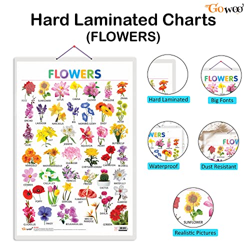 Image of GO WOO Combo of 2 Alphabet and Flowers Educational Posters for Preschool Kids Classroom Study | Learning- Charts for Kids Learning (20 inchX30 inch Inches)