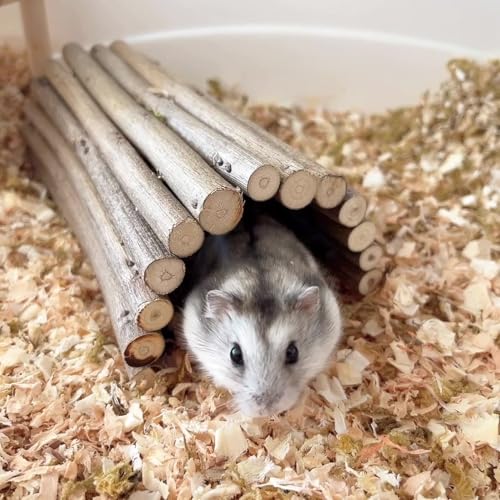 DEMONTALK Natural Wooden Hamster Mouse Tunnel Tube Small Animal Chew Toy for Rat Rodents