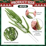 Zoom IMG-2 megetgod 60 rami di pino Zoom IMG-2 megetgod 60 rami di pino