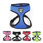 PaddingPaws Waterproof Soft Mesh Fabric Dog Puppy Pet Adjustable Harness Lead Leash Clip (M, Blue)