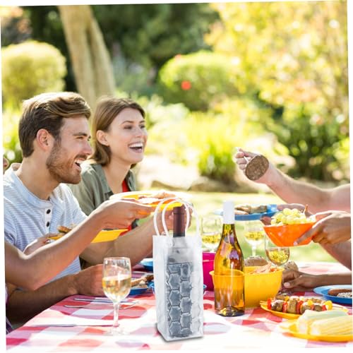 Bolsa de refrigerador de vino para picnic y viajes: pack de 2 hieleras portátiles transparentes 3