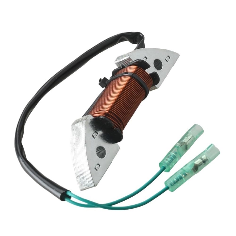 Alternateur pour moteur hors-bord résolvant les pannes de batterie 9,8 CV