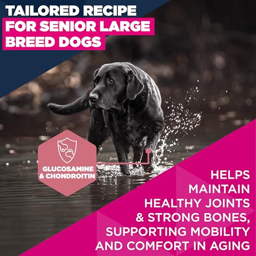 Eukanuba Fresh Chicken - Complete Dry Dog Food - For Senior Large & Giant Breed Dogs 15KG - Image 5