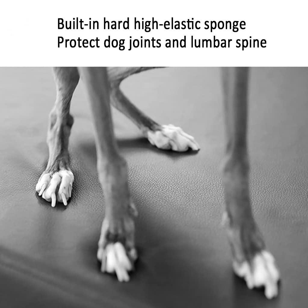 Inicio Escaleras para Mascotas Escaleras para Perros de 2 Escalones Esponja de Alta Densidad Escalones para Mascotas para Gatos Escalones para Perros, 44 * 40 * 32 cm (Light Gray 44 * 40 * 32cm)