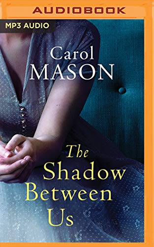 The Shadow Between Us view 2