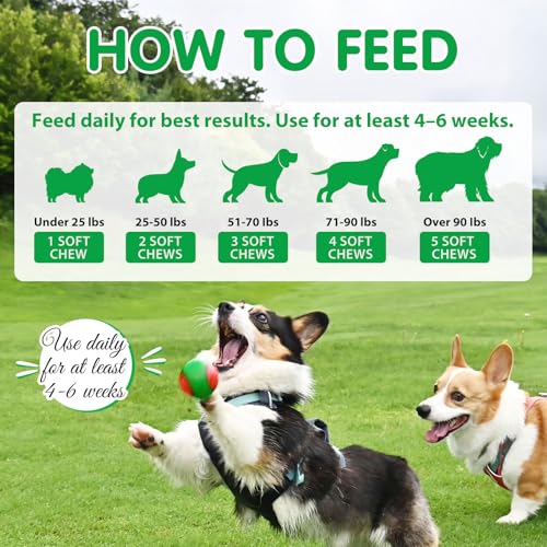 HRAMEX Hunde Probiotika als Leckerli(Entenaroma 120PCS),Hund Darmflora aufbauen,saisonale Allergien,aufgeregter Magen Linderung verbessern die Verdauung,leckere Snacks(300g)