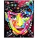 Puzzle Diamond Painting Audrey Hepburn Pittura con Diamantini Fai Da Te con Strass e Ricamo a Punto Croce kit Immagini per Numeri il Numero per la Casa 25 x 30 cm