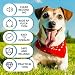 Buzzer mit Aufnahmefunktion, Hunde-sprechtasten, Dog Talk Aufnehmbare Trainingssummer, 30 Sekunden & Wiedergabe, 6 Stück