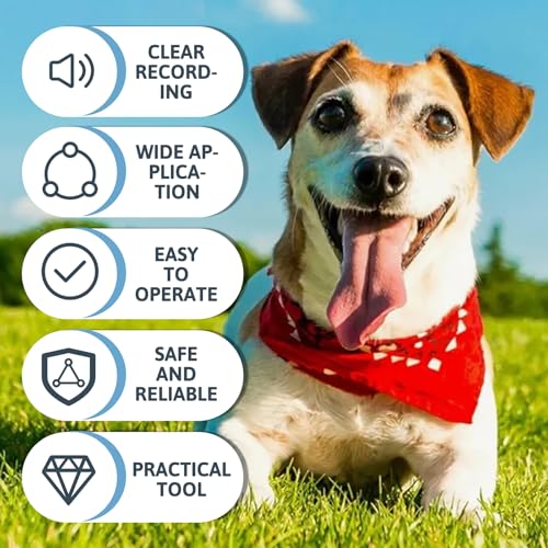 Buzzer mit Aufnahmefunktion, Hunde-sprechtasten, Dog Talk Aufnehmbare Trainingssummer, 30 Sekunden & Wiedergabe, 6 Stück