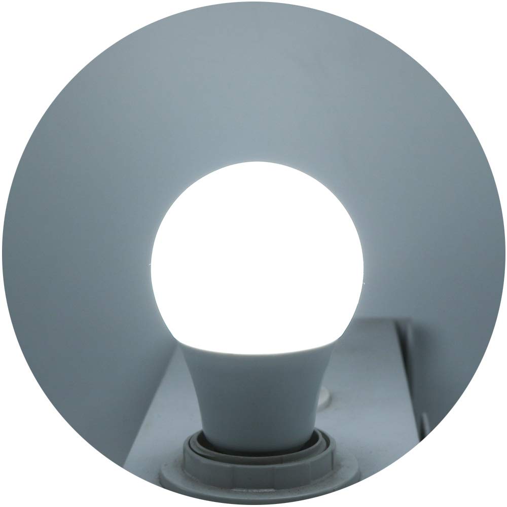 LED Bombilla Esférica Casquillo E27, 7W, Equivalente a 70W, Blanco frío 6500K, 700 Lúmenes, no Regulable, Pack de 20 Unidades