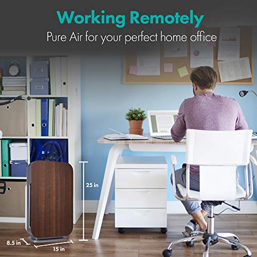 Alen Breathesmart Flex Hepa Air Purifier With Odor Filter, Absorbs Pet Odor, Household, And Food Odor, Captures Pet Dander, Allergens, Dust, Mold, Germs. Kids Rooms And Home Office Up To 700 Sq. Ft. #TOP7