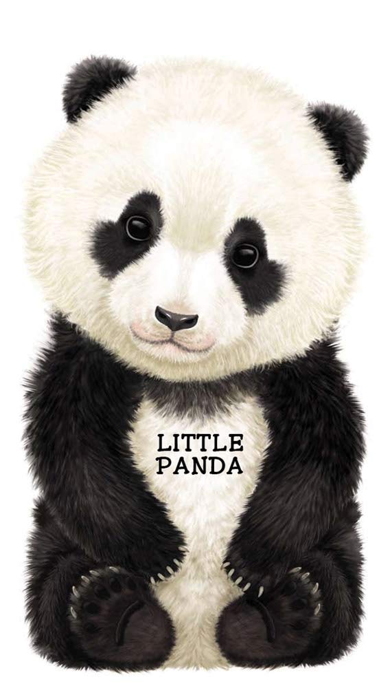 Barron's Educational Series Inc.,U.S. Little Panda