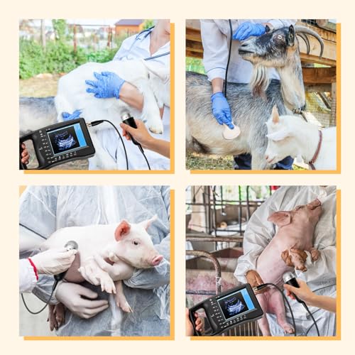 Ultraschall-Scanner Veterinär, Vet Portable B-Ultra Sound Scanner Maschine Bauernhof Tiere Haustier Mit 3,5 MHz Mechanische Sonde 8 Farbfelder Für Schafe, Hunde, Katzen Und Für Trächtigkeitstest