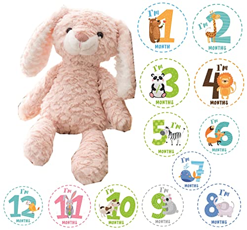 JP-SAKURAyKi bsOtz BeZbgt t@[XggC  { ʂ }Cxr[Xg v[g (sN )