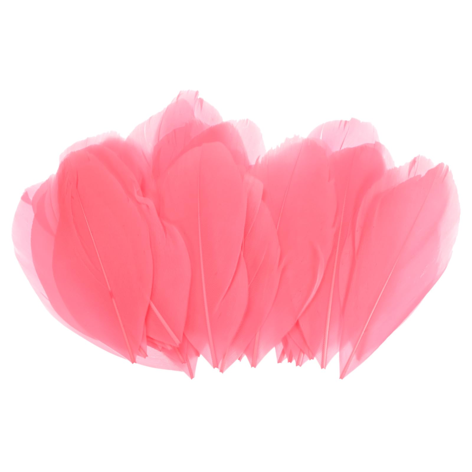 M METERXITY 100-Pack Goose Feathers