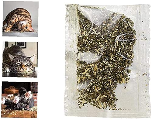 Menta gatta naturale biologica, giocattolo per